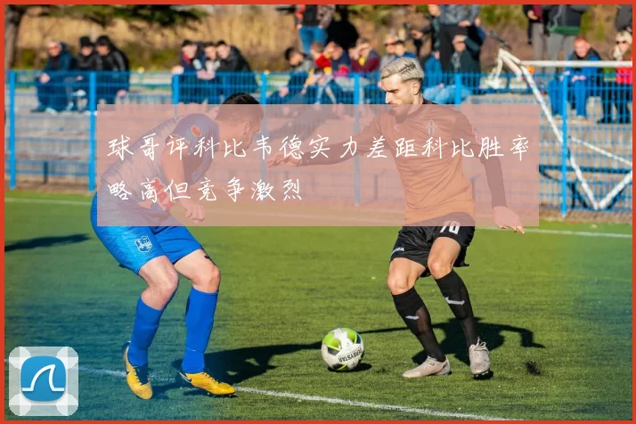 球哥评科比韦德实力差距科比胜率略高但竞争激烈